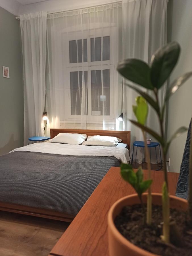 Apartament Rozeta Centrum 6Os レグニツァ エクステリア 写真