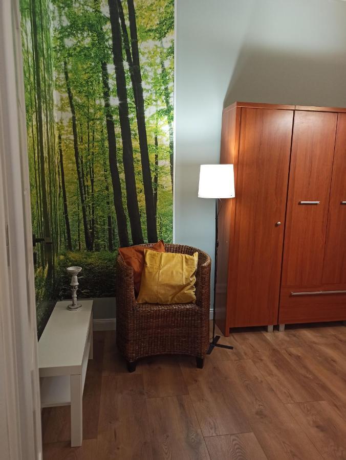 Apartament Rozeta Centrum 6Os レグニツァ エクステリア 写真