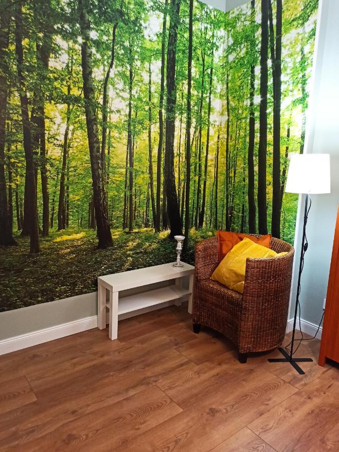 Apartament Rozeta Centrum 6Os レグニツァ エクステリア 写真