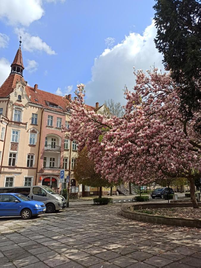 Apartament Rozeta Centrum 6Os レグニツァ エクステリア 写真