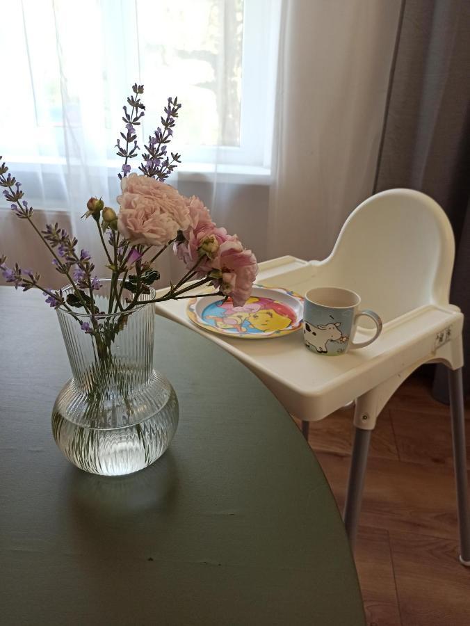 Apartament Rozeta Centrum 6Os レグニツァ エクステリア 写真