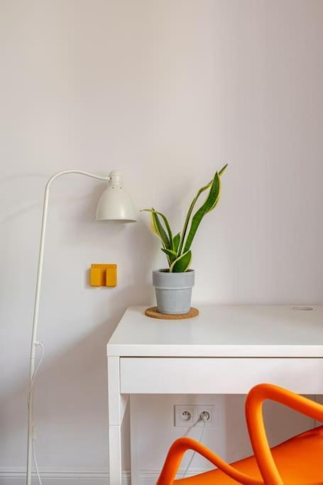 Apartament Rozeta Centrum 6Os レグニツァ エクステリア 写真