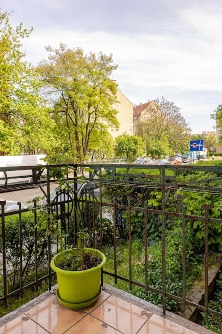 Apartament Rozeta Centrum 6Os レグニツァ エクステリア 写真